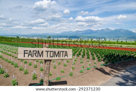 FURANO, JAPAN - JUNE 21, 2015 : Guide post in Tomita farm with flower field in summer on June 21, 2015. Tomita farm is the most famous tourist attraction in Furano, Hokkaido, Japan.