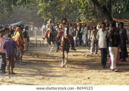 Men test riding horses along a track in the woods at the Sonepur livestock fair, India