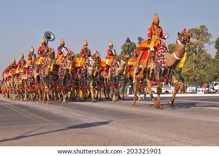 NEW DELHI, INDIA - JANUARY 23, 2008:  Musicians of the Indian Border Security Force riding their camels down the Raj Path in preparation for the annual Republic Day Parade