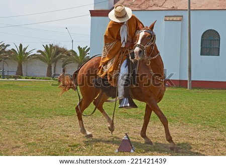 TRUJILLO, PERU - SEPTEMBER 1, 2014: Peruvian Paso horses being ridden by men in traditional clothing in Trujillo, Peru