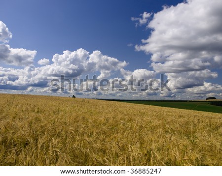 fall field and blue sky