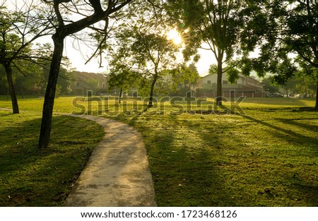 Beautiful green park with trees and jogging track. Sun rays and flares. Nature background. Stock fotó © 