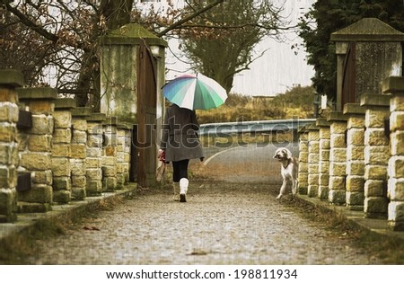 woman with an umbrella walks with her dog in the rain outside.