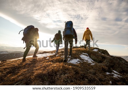 Group of four hikers with backpacks walks in mountains at sunset