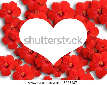 Flowers on a white background and white heart for text