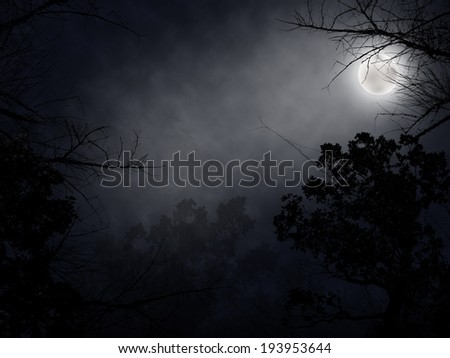 Dark forest at night background