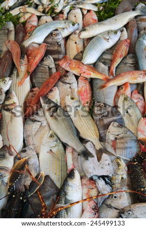 fishing harbor fish market essaouira city fortified by the portuguese morocco