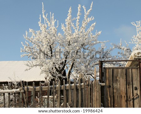 fence and gate in winter