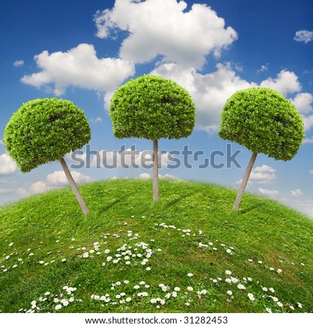 Funny landscape with beautiful trees and camomile