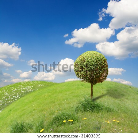 Funny beautiful landscape with  tree  in ecology-look