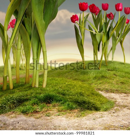 Background with three Grass Hills and Tulip Trees
