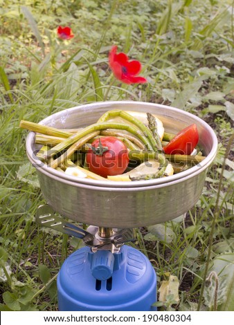 fresh asparagus, cherry tomatoes and lemon cooked on Camping Stove