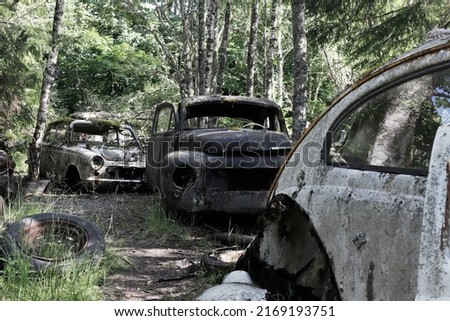 Abandoned old cars decaing in the forest. Сток-фото © 