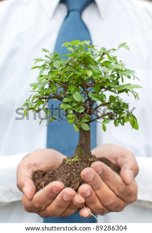 Businessman holding tree