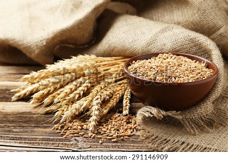 Ears of wheat and bowl of wheat grains on brown wooden background