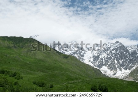 Similar – Image, Stock Photo Magnificent view the coniferous forest on the mighty Carpathians Mountains and beautiful cloudy sky background. Beauty of wild virgin Ukrainian nature, Europe. Popular tourist attraction.