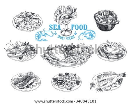 Vector hand drawn illustration with seafood. Sketch. Mediterranean cuisine. Lobster, oysters, shrimp, fish, mussels, crab, cancer, squid rings.