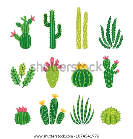 Vector set of bright cacti, aloe and leaves. Collection of exotic plants. Decorative natural elements are isolated on white. Cactus with flowers.