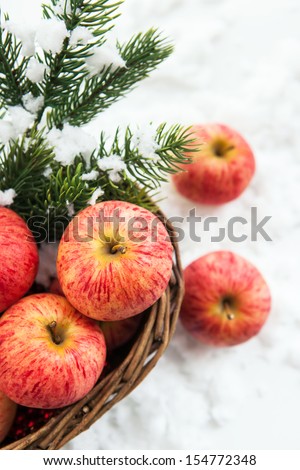 Christmas composition with red apples in basket and branch of christmas tree