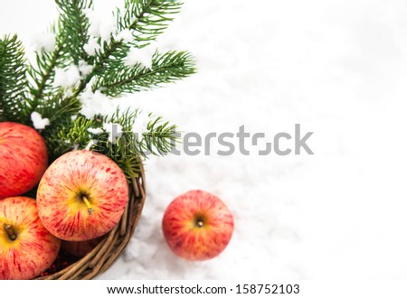 Christmas composition with red apples in basket and branch of snow-covered spruce