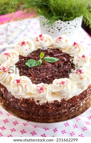 Homemade Black Forest cake with cherry and chocolate