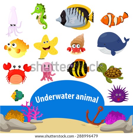 Illustrator of Underwater animals