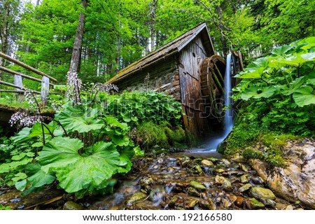 An old watermill by the stream in the forest in the spring