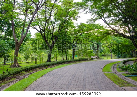 Pedestrian walkway for exercise with trees in park.