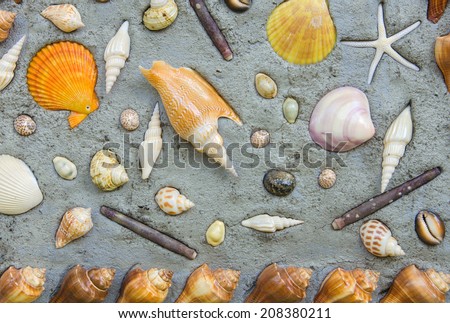 Starfish and shells to decorate on cement wall.