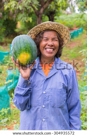 Senior farmer woman hold watermelon in farm.