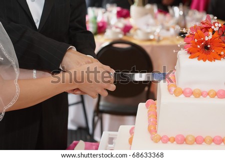 Bride and groom cutting cake at wedding reception