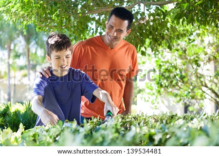 Hispanic father happily teaches his teenage son how to use hedge clippers to trim bushes in lush yard.
