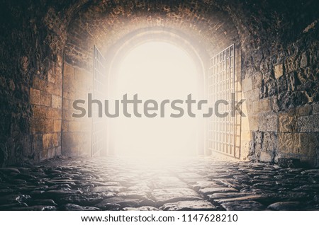 Similar – Image, Stock Photo Gate to paradise