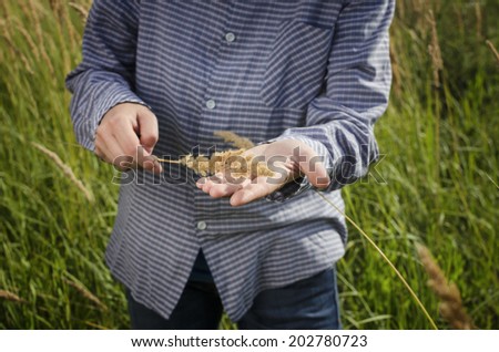 Person standing in high grass. Selective focus on hand with meadow.