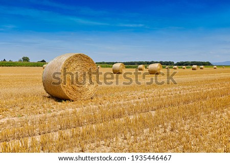 Image, Stock Photo Wheat bales rolled up in a harvested field, in a beautiful Franconian landscape blue sky green forest.