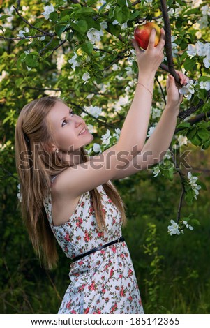 Girl in a flowered apple orchard apple breaks