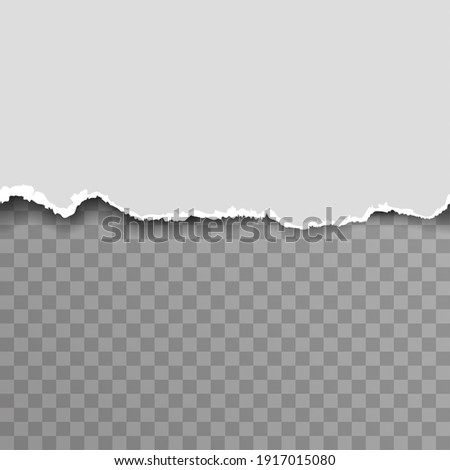 Torn paper ripped blank transparent template background advertising vector illustration Foto stock © 