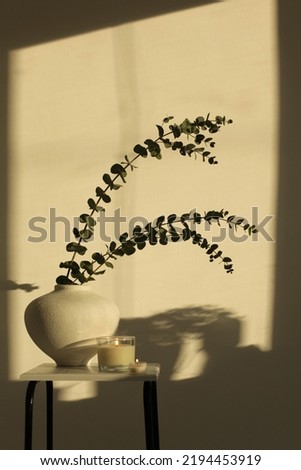 Evening still life. Leaf eucalyptus bouquet in bowl and burning candle on beige interior. Selective soft focus. Minimalist still life. Light and shadow nature background. Foto stock © 