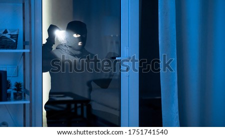 Image, Stock Photo Portrait through balcony door of young blonde woman in dress and stockings