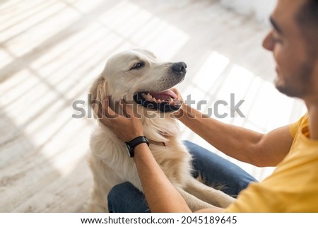 Similar – Image, Stock Photo Portrait of dog spending time in street