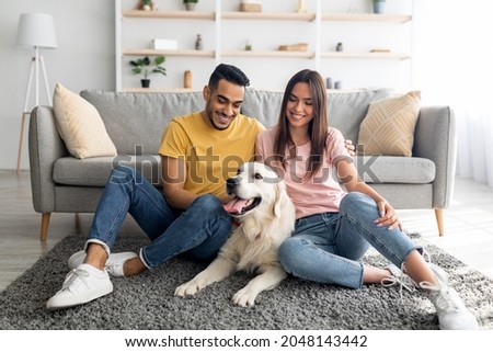 Similar – Image, Stock Photo Portrait of dog spending time in street