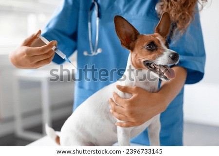 Similar – Image, Stock Photo Female veterinarian preparing dog for operation