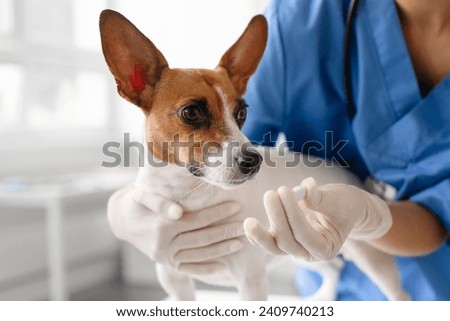 Similar – Image, Stock Photo Female veterinarian preparing dog for operation