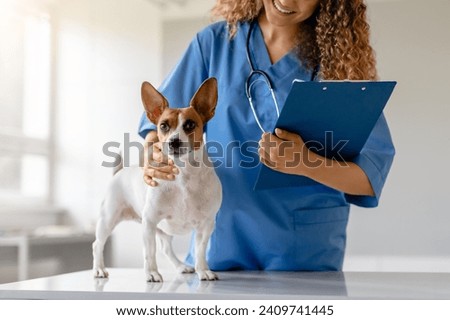 Similar – Image, Stock Photo Female veterinarian preparing dog for operation