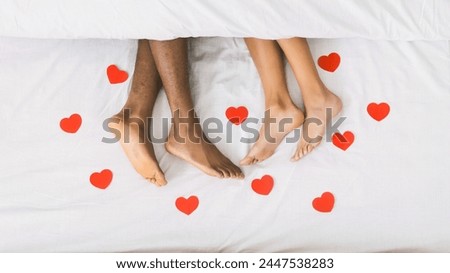 Similar – Image, Stock Photo Couple lying on bed and hugging in morning in nightwear