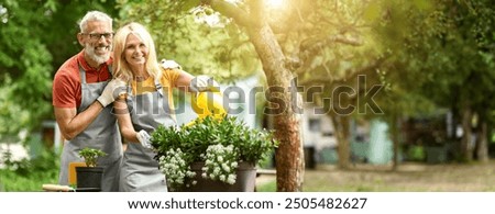 Image, Stock Photo Woman planting flowers in pot at table