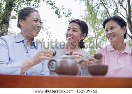 Group of mature women drinking Chinese tea in the park