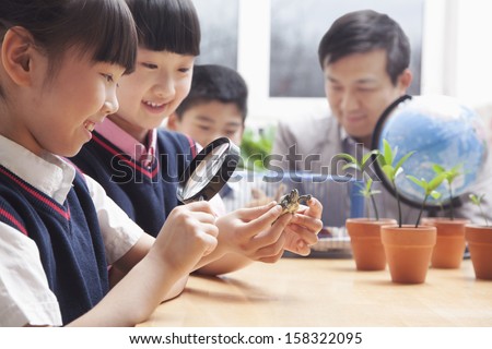 Schoolgirls examining turtle through magnifying glass in classroom