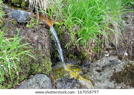 Natural water source in the mountains. The water is falling from a tree bark.