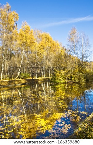 Autumn landscape - yellow birch forest on bank of lake with reflection in water and little island, vertical, recorded on Putyaevskiye lakes in park \